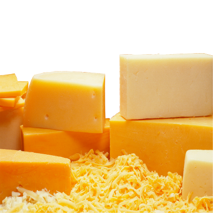 Cheese