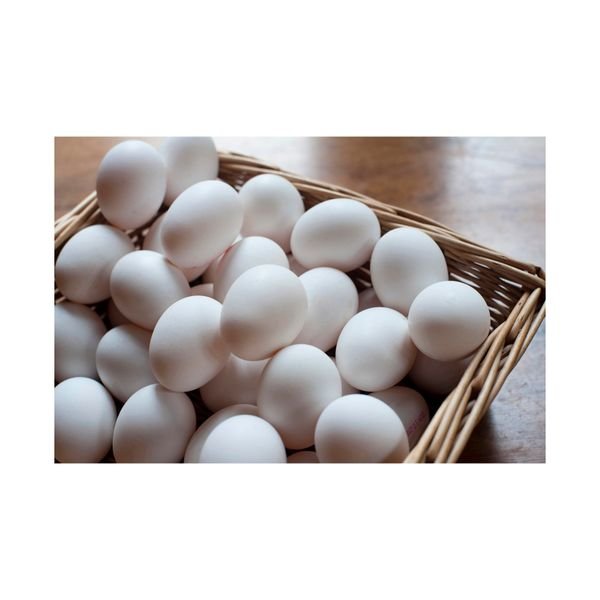 High Standard Best Quality Chicken Egg Fresh and Natural Egg Wholesale Price Animal Products Eggs