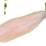 Best Selling Fish Fillet with Premium Frozen Quality Fish/pangasius/Tilapia/Catfish and Others From Vietnam