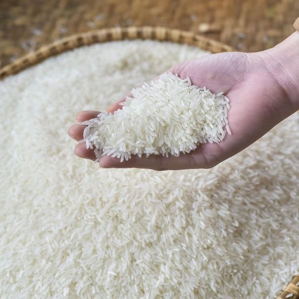 Vietnam Manufacturer OEM/ODM Jasmine Rice 50kg-25kg-10kg-5kg-2kg Pack Long Japonica Tender Fragrant Elasticity Delicious Rice