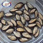 Offer Shellfish With Low Price New Season Half Shell Mussel Meat New Season Blue Mussel