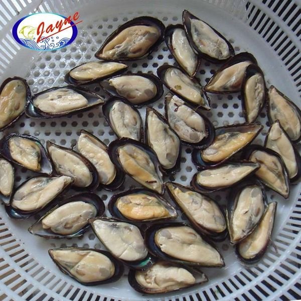 Offer Shellfish With Low Price New Season Half Shell Mussel Meat New Season Blue Mussel