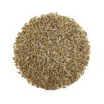Indian Spices and Herbs Cumin Jeera Natural and Organic Cumin for Extra Taste From Indian Supplier