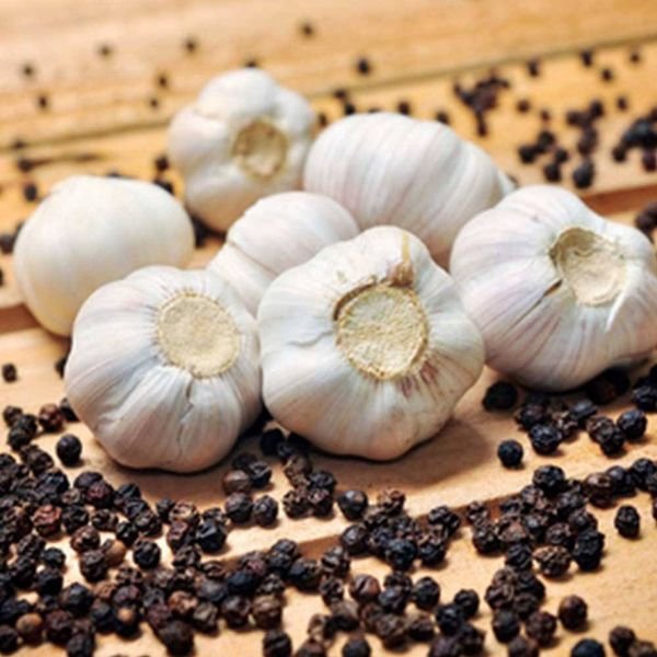 Wholesale Price High Quality Full Garlic Fresh Vegetables 100% Organic Pure White Garlic for Sale