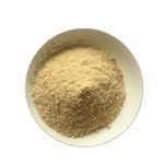 Hot Sale Good Quality Factory Price 25kg Halal Chicken Seasoning Powder Bulk with Garlic Flavor Enhanced