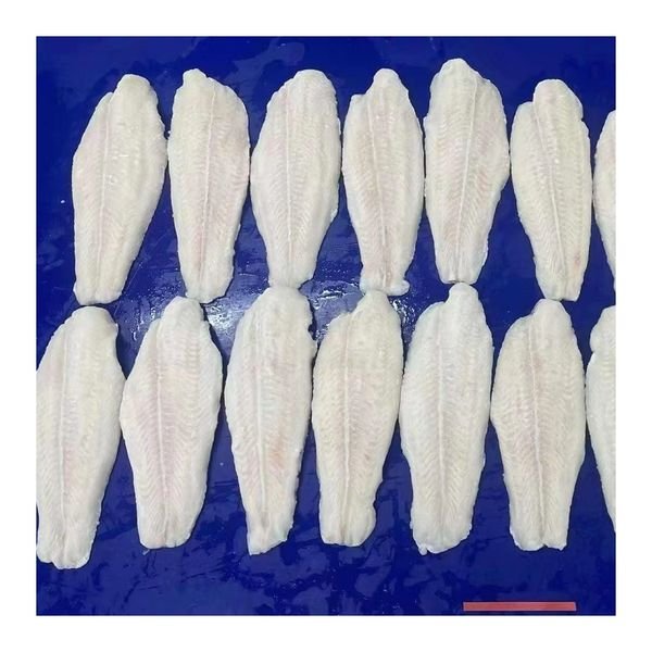 Frozen Pangasius Fillet Fish High Quality
