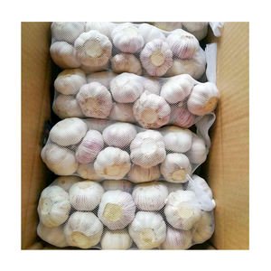 Hot Wholesale Best Grade Organic Fresh Garlic Direct From China Ready for Export Normal White Garlic