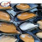 Deep Freezing Cold Shellfish Well Cooked Blue Mussel 2/2 Shell Catch Fresh Out Of Sea