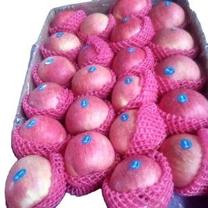 Hot Sale Fresh Gala apple Chinese Red Qinguan apple Fresh apple Supplier