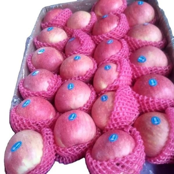 Hot Sale Fresh Gala apple Chinese Red Qinguan apple Fresh apple Supplier