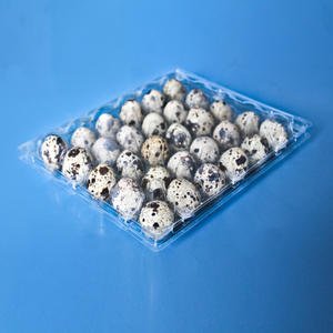 30 Pieces Of Quail Eggs Clamshell Box Quail Eggs Clamshell 30 Pieces Of Quail Eggs Clamshell