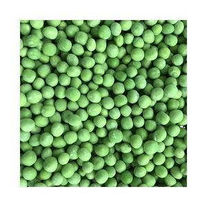 Organic Low Fat Frozen Green Beans Time-Saving Hyperalimentation Steamed Fruit for Fitness Factory Price IQF Certified Wholesale
