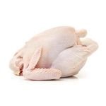 Hot Sale Low Price Frozen Whole Hen Chicken for Sale