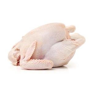Hot Sale Low Price Frozen Whole Hen Chicken for Sale