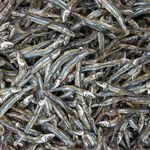 SUNDRIED SPRAT/ DRIED ANCHOVY FISH FROM VIETNAM WITH GOOD PRICE//Sven + 84 966722357