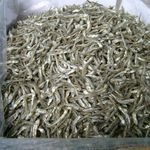 [QUALIFIED] Dried Anchovy Fish Best Price From Vietnam - Qualified With NAFI Certificate
