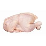 Best Quality Healthy and Natural Whole Chicken Halal Frozen Whole Chicken Poultry Meat Chicken with Customize Pack