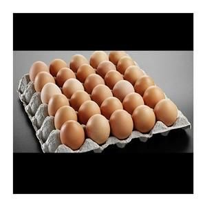 Fresh Farm-Fresh Eggs - Bulk Quantities