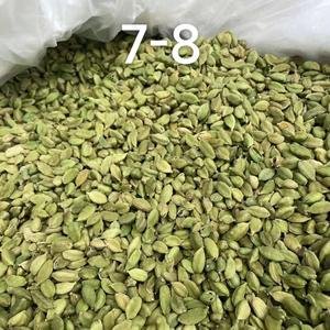 High Quality Healthy Green Cardamom Spice Dried Herb Bulk Purchase From India Manufacture Price for Food and Beverage Use