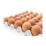 Best Quality Organic Fresh Chicken Brown Table Eggs & Fertilized Eggs Available in Bulk Stock