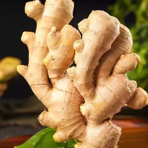New Crop Fresh Dry Ginger 10kg Box for Wholesale Ginger Price Good Quality