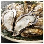 Japan Fish Wholesale Salt Water Product Whole Restaurant Shell Bbq Oyster Shellfish Meat Japanese Frozen Seafood Food Sea